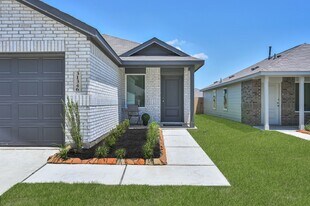 31346 Black Cherry St in Magnolia, TX - Building Photo