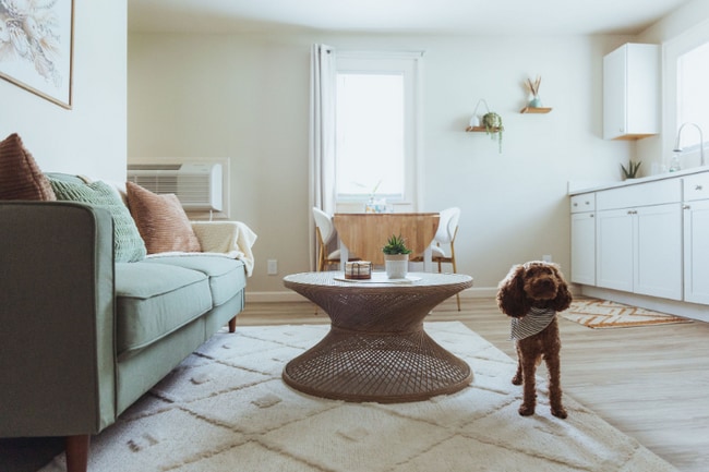 308 Lamont St-Unit -1 in Johnson City, TN - Building Photo - Building Photo