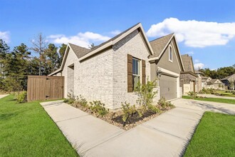 28821 Window Vw Dr in New Caney, TX - Building Photo - Building Photo