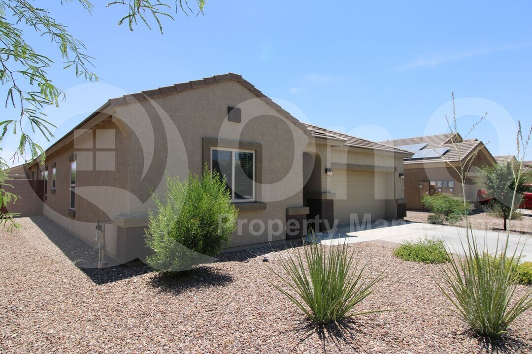 11561 W Tom Henry Way in Marana, AZ - Building Photo