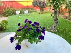 2497 Glen Meadow Ln in Escondido, CA - Building Photo - Building Photo