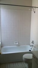 2411 Stout St in Denver, CO - Building Photo - Building Photo