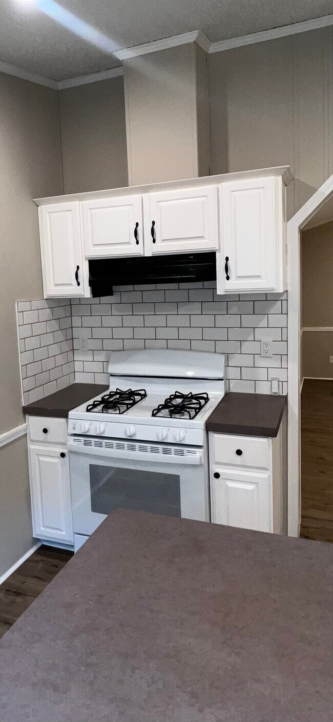 116 Paschal Rd Rentals in Temple, GA