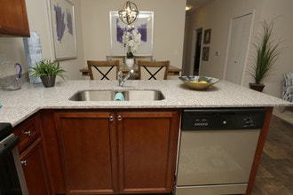 Palisades at the Park in Greenville, SC - Building Photo - Interior Photo