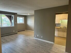 343 Mill St in Kitchener, ON - Building Photo