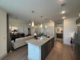 702 Celebration Wy in San Marcos, TX - Building Photo