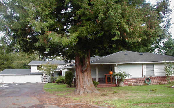 4320-4328 NE Maywood Pl in Portland, OR - Building Photo - Building Photo