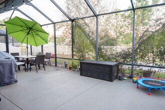 19376 Roseate Dr in Lutz, FL - Building Photo - Building Photo