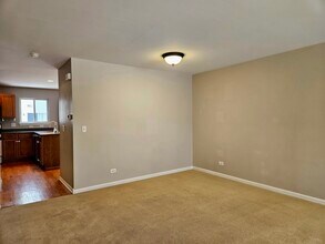 24403 John Adams Dr in Plainfield, IL - Building Photo - Building Photo