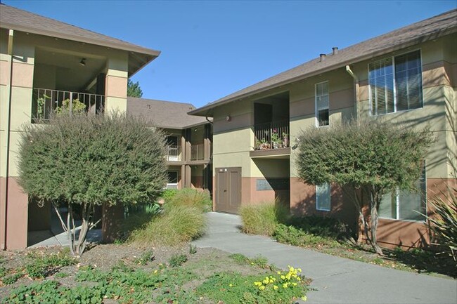 Rohlffs Manor- Senior Apartments in Napa, CA - Building Photo - Building Photo