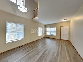 3103 Alyssa St in Plano, IL - Building Photo - Building Photo