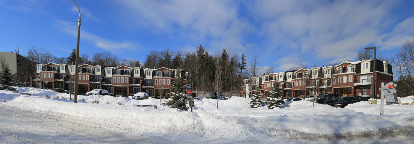 45 Cedarhill Cres in Kitchener, ON - Building Photo