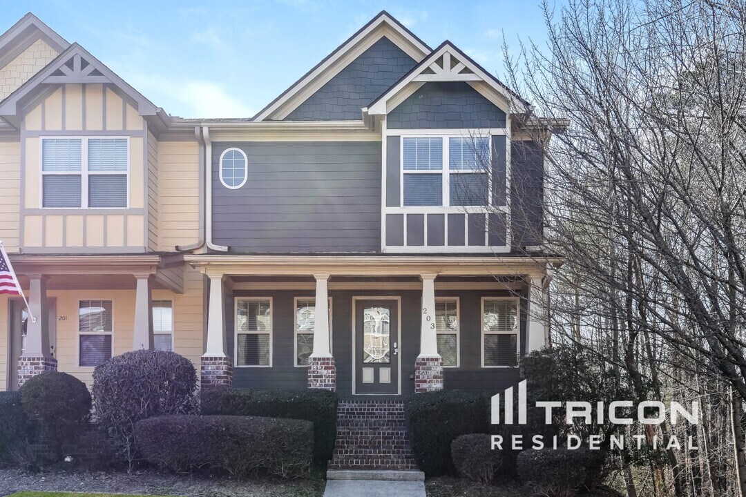 203 Royal Crescent Ter in Holly Springs, GA - Building Photo