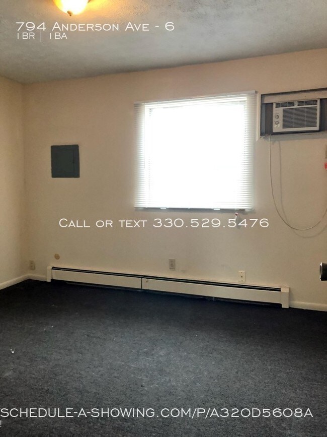 794 Anderson Ave-Unit -6 in Akron, OH - Foto de edificio - Building Photo