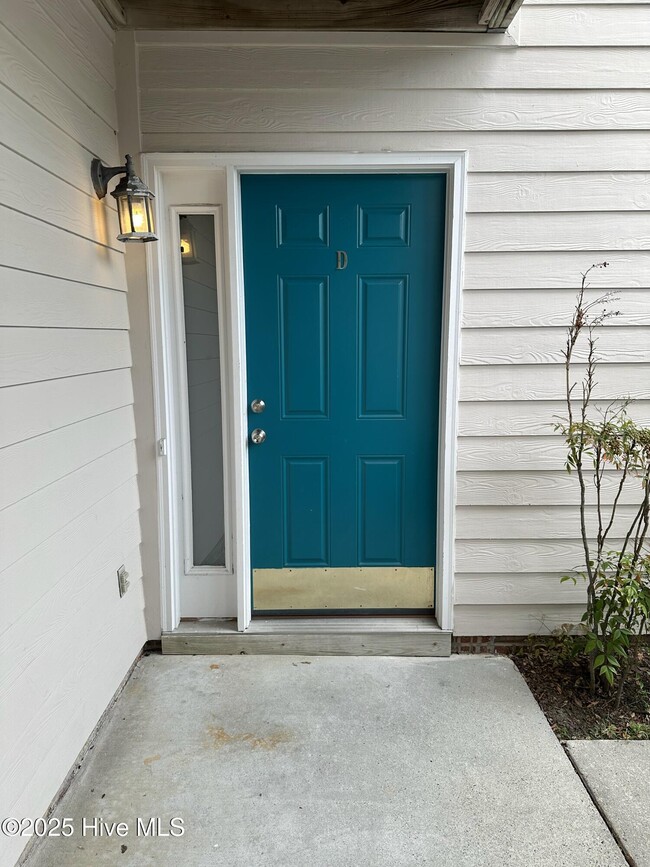 property at 705 Summertime Ln