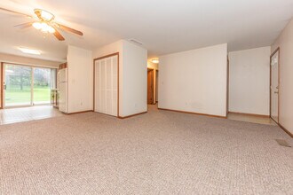 374 Detroit St in Saline, MI - Building Photo - Building Photo