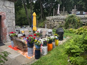 3 Cook St in Douglas, MA - Building Photo - Building Photo