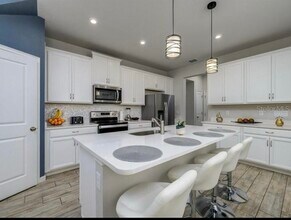 4272 Cloud Hopper Wy in Lutz, FL - Building Photo - Building Photo