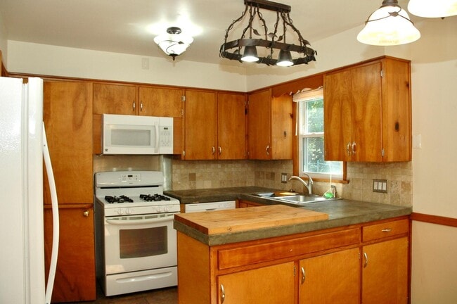 1317 Herrick Ave NE in Grand Rapids, MI - Building Photo - Building Photo