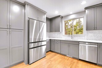 132 Pauls Ln in Bailey, CO - Building Photo - Building Photo