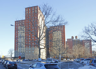 Luna Park in Brooklyn, NY - Foto de edificio - Building Photo