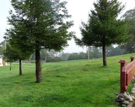 1 Appian Way in South San Francisco, CA - Building Photo - Building Photo