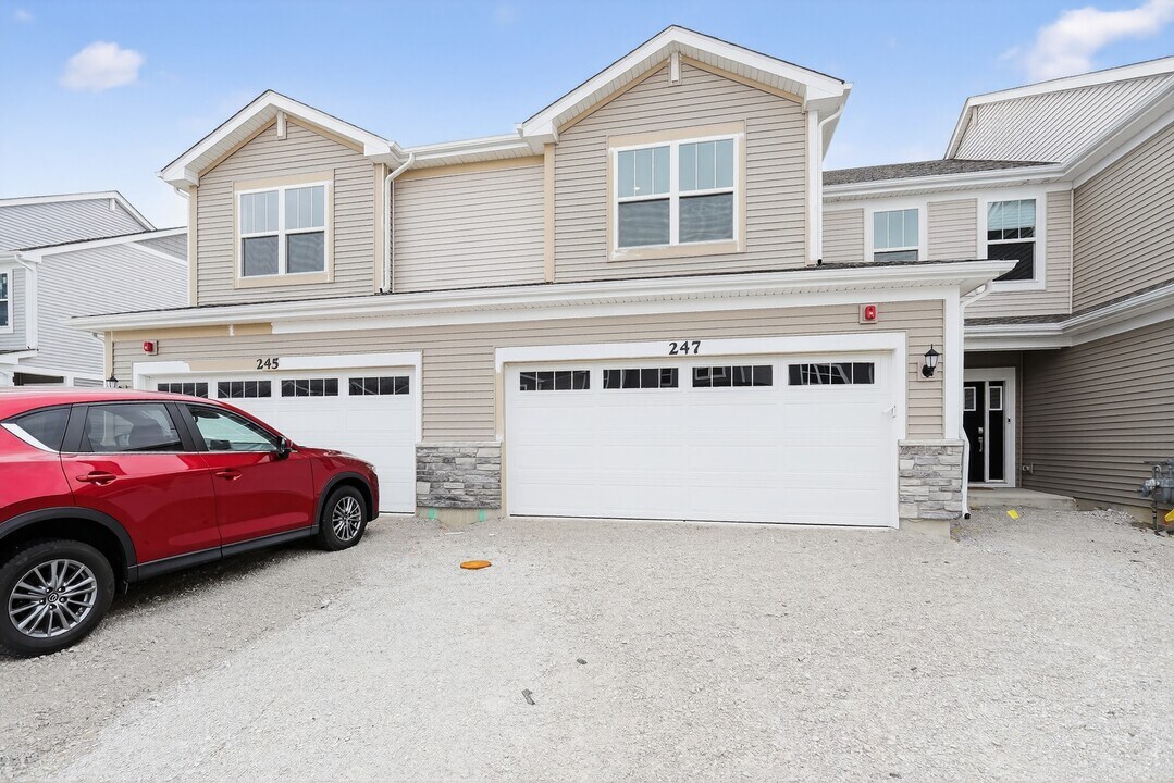 247 Cooney Wy in Oswego, IL - Building Photo