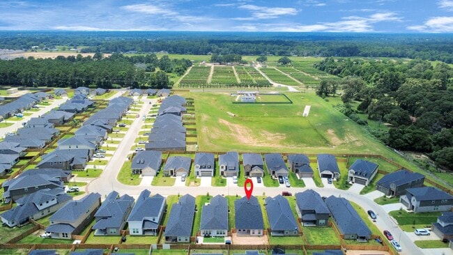 property at 22826 Xanthos St