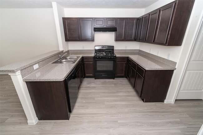 12602 Rio Nueces Ln in Rosharon, TX - Building Photo - Building Photo