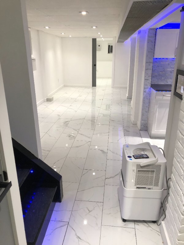 196 Danforth Ave, Unit 3 Rooms for Rent