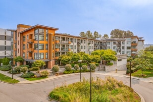 Shoreline in New Westminster, BC - Building Photo