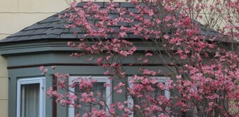 67 Market St, Unit 1B in Amesbury, MA - Building Photo