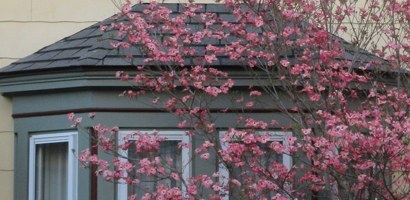67 Market St, Unit 1B in Amesbury, MA - Building Photo