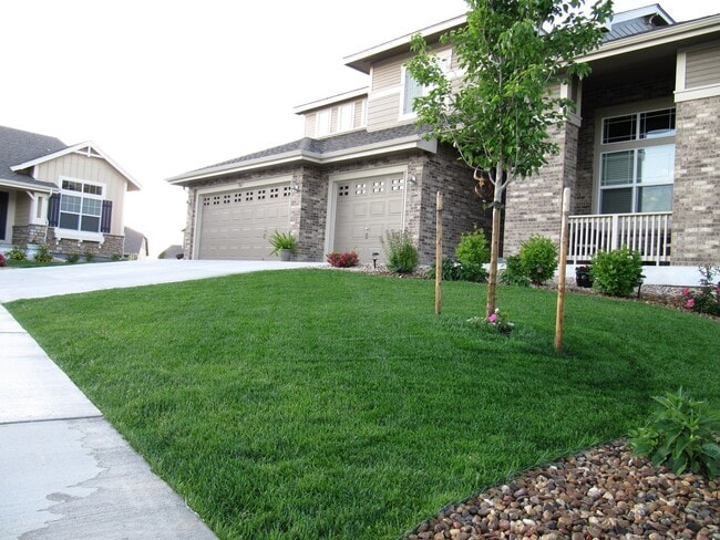 5863 Noble Ct in Golden, CO - Building Photo - Building Photo