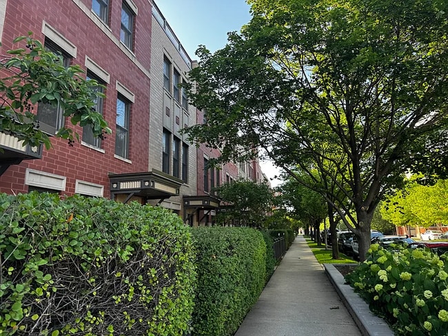 1002 N Crosby St in Chicago, IL - Building Photo - Building Photo