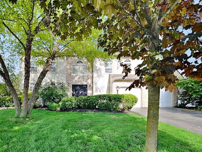 property at 346 Pinecrest Ct