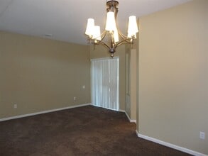 5110 Rushbrook Rd in Land O Lakes, FL - Foto de edificio - Building Photo