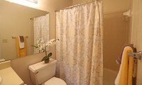 Interior Photo - Wood Springs Apartamentos in Birmingham, Alabama