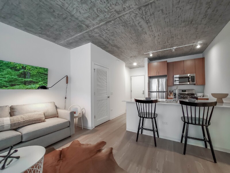1355 S Wabash Ave in Chicago, IL - Building Photo