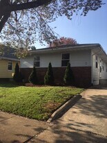 1894 Flint Ave in Akron, OH - Building Photo