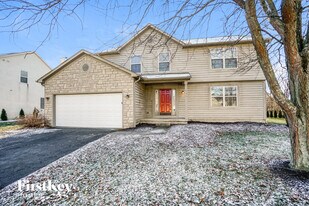 339 Shyanne Dr in Powell, OH - Building Photo