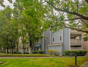 Compass Place North in Sunnyvale, CA - Foto de edificio - Building Photo