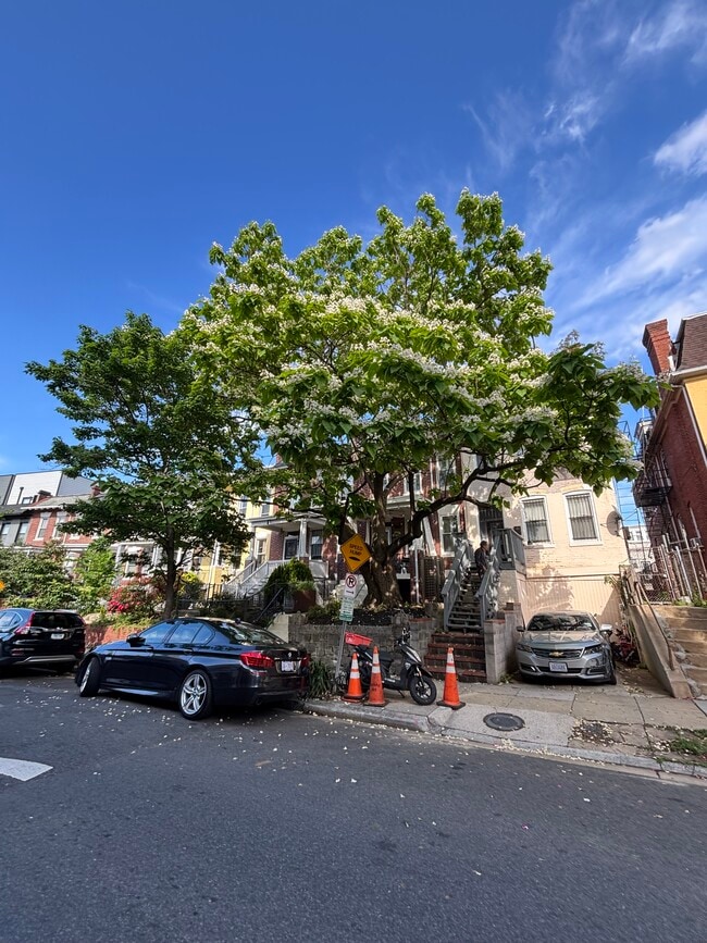 3547 10th St NW, Unit B in Washington, DC - Building Photo - Building Photo