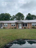 207 Martin Ct in Catlin, IL - Building Photo