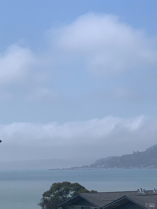 9 Janet Way in Tiburon, CA - Building Photo
