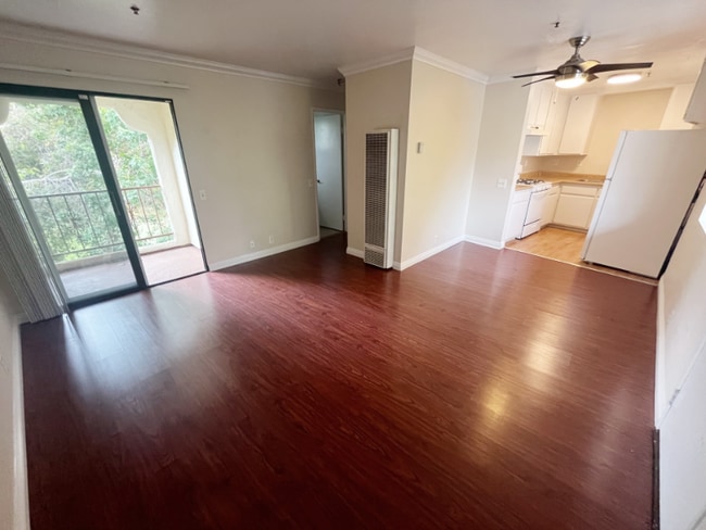 248 W Avenida Palizada in San Clemente, CA - Building Photo - Building Photo