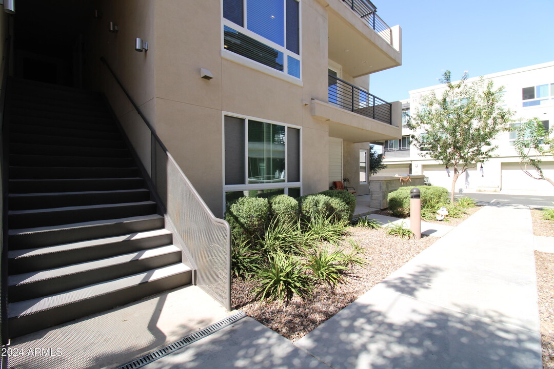 1250 Abbey Ln in Chandler, AZ - Foto de edificio