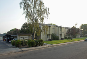 Walnut Grove Villa Apartments