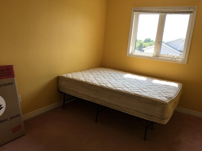 24 Edgecombe Dr in St John's, NL - Building Photo - Building Photo