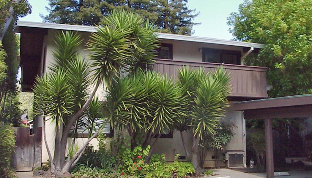 193-197 Miller Ave in Mill Valley, CA - Foto de edificio